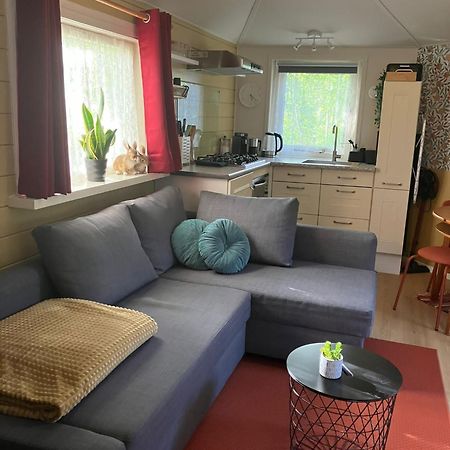 B En B Op Steendam, Tuinkamer Onder De Appelboom Экстерьер фото