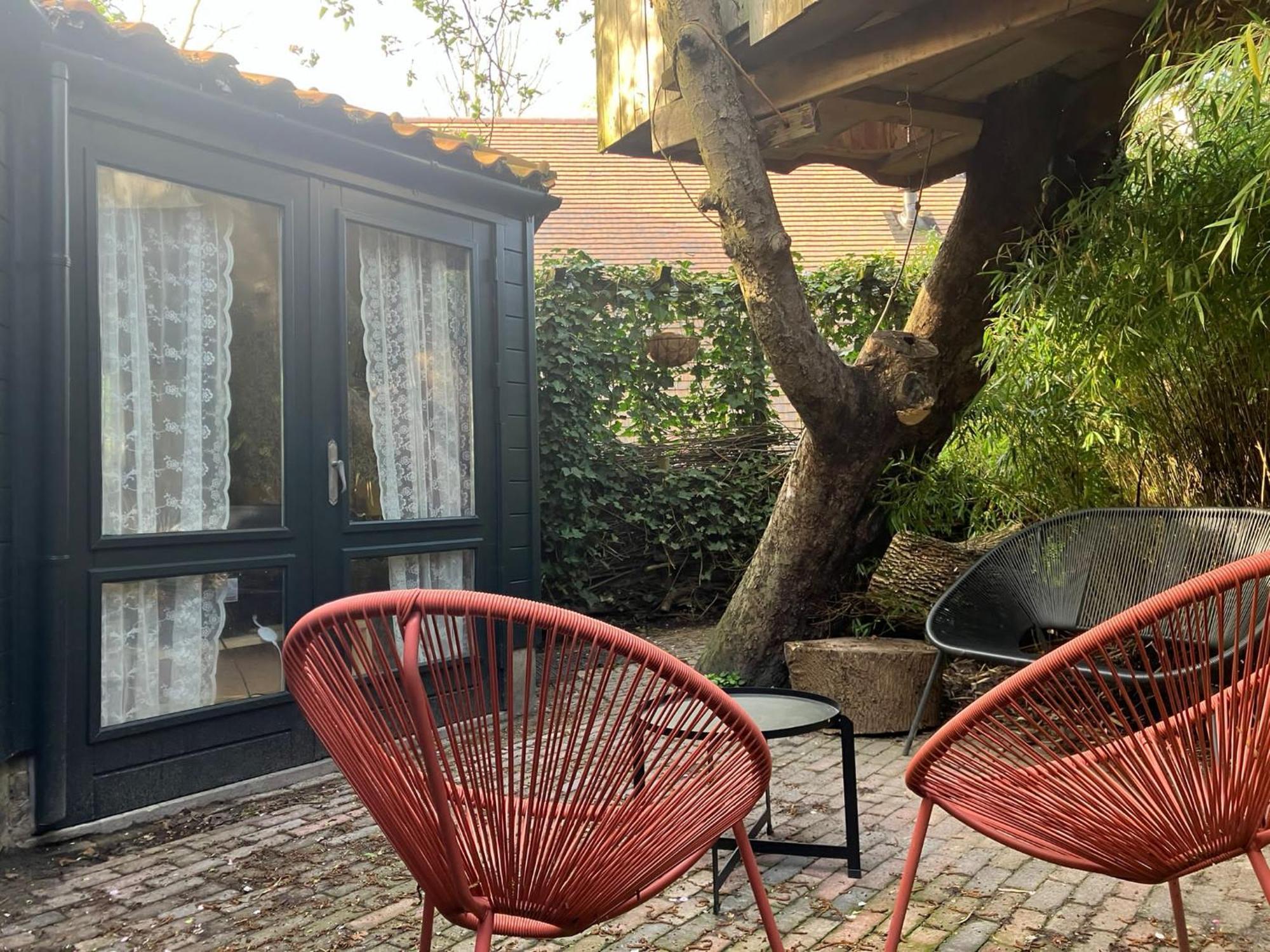 B En B Op Steendam, Tuinkamer Onder De Appelboom Экстерьер фото