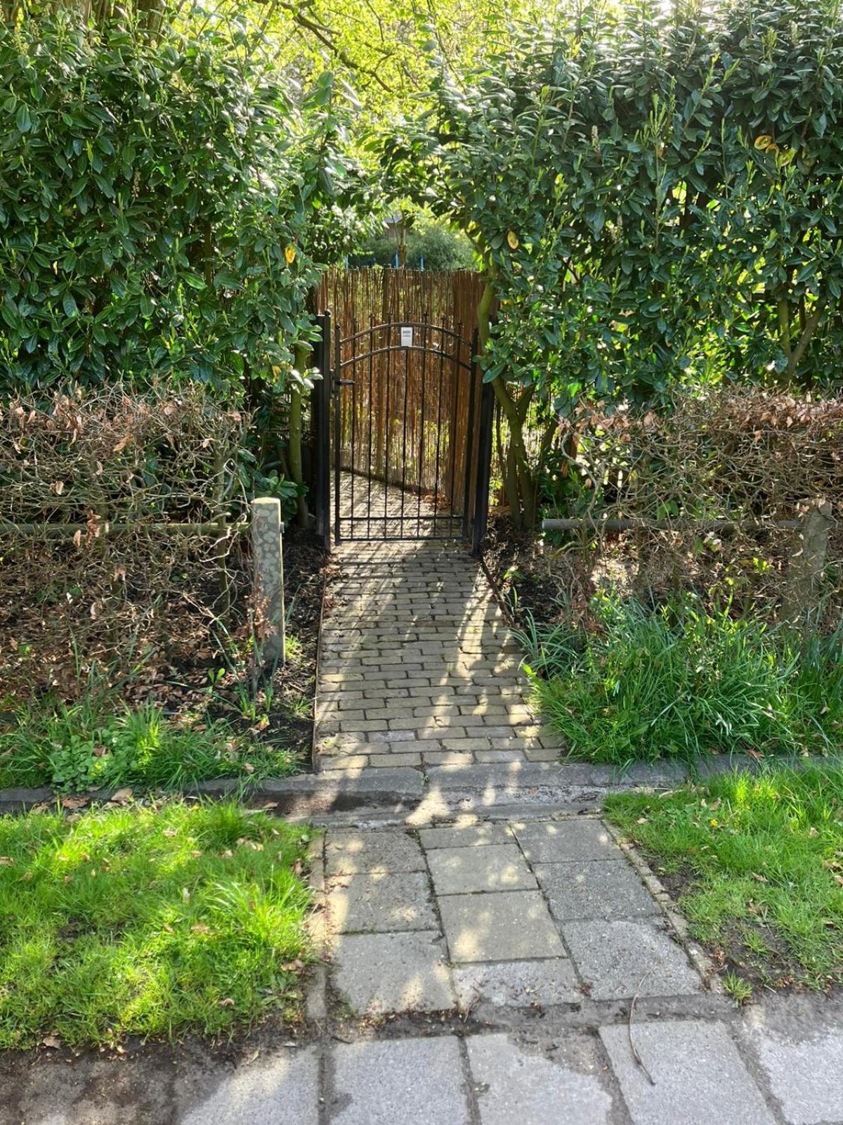 B En B Op Steendam, Tuinkamer Onder De Appelboom Экстерьер фото