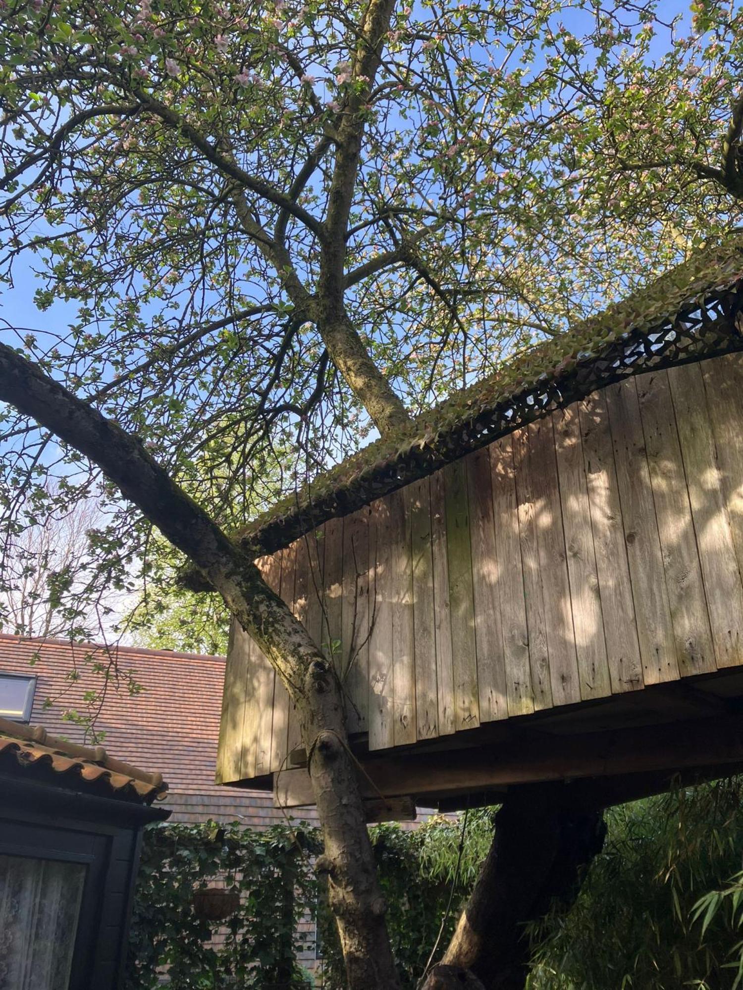 B En B Op Steendam, Tuinkamer Onder De Appelboom Экстерьер фото